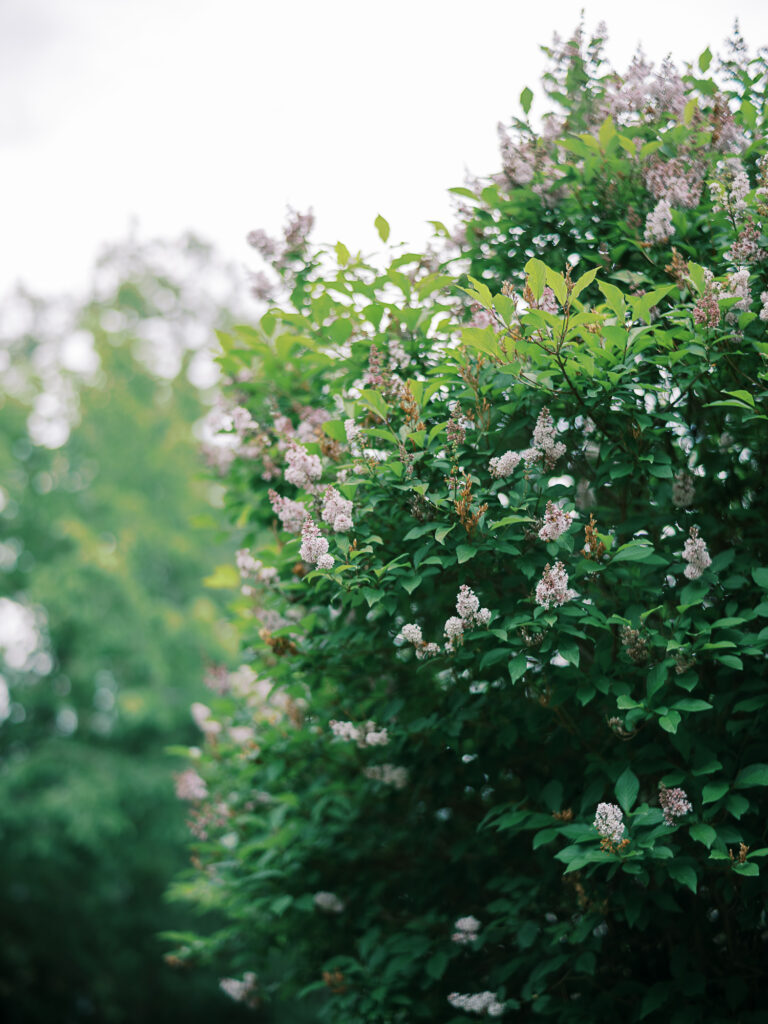 Norland Historic Estate Wedding