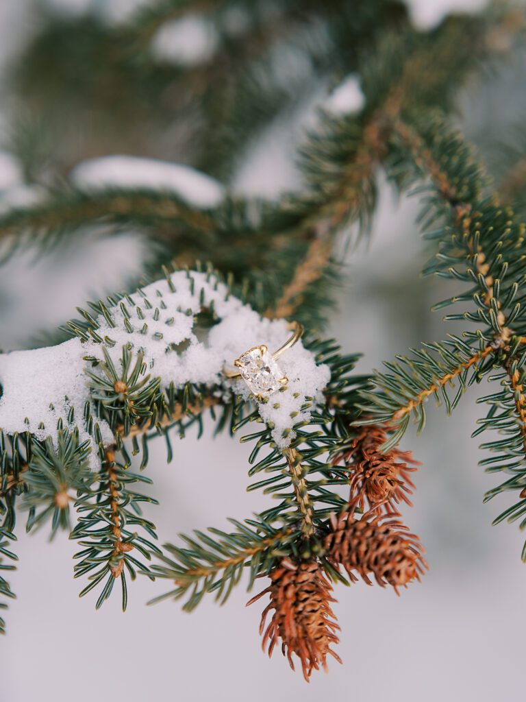 Chloeandkevinsneakpeek